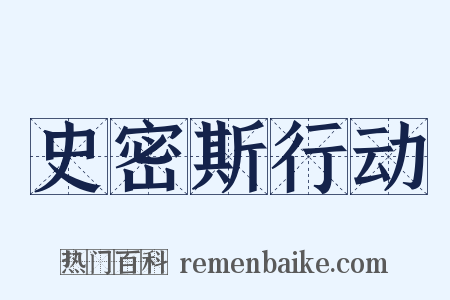 史密斯行动是什么意思的图片
